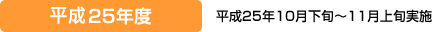 平成25年度
